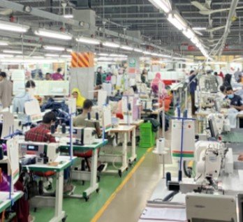 Fabric Development