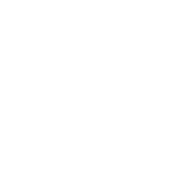 Ethical Labour Standards